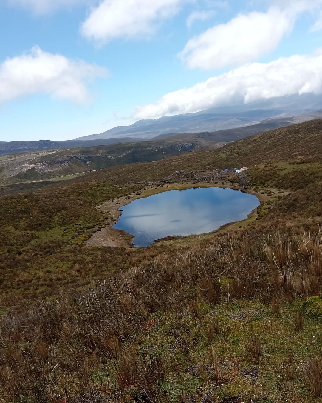 IMG_20240817_134137-ig-portrait-1080-1350 (1)