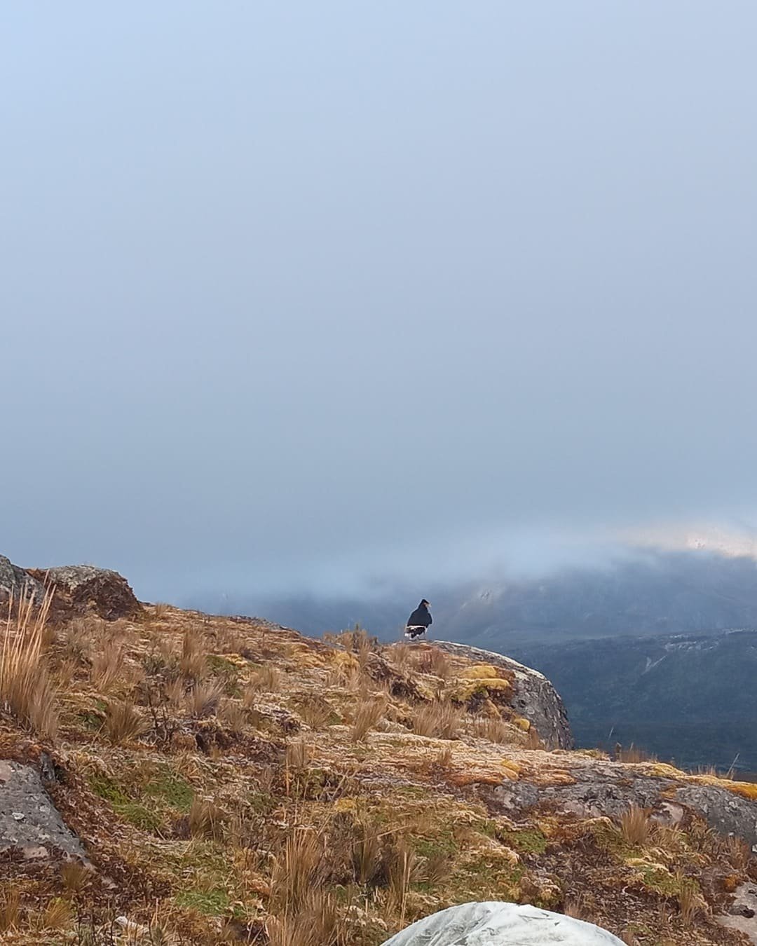 IMG_20240818_070640-ig-portrait-1080-1350 (1)