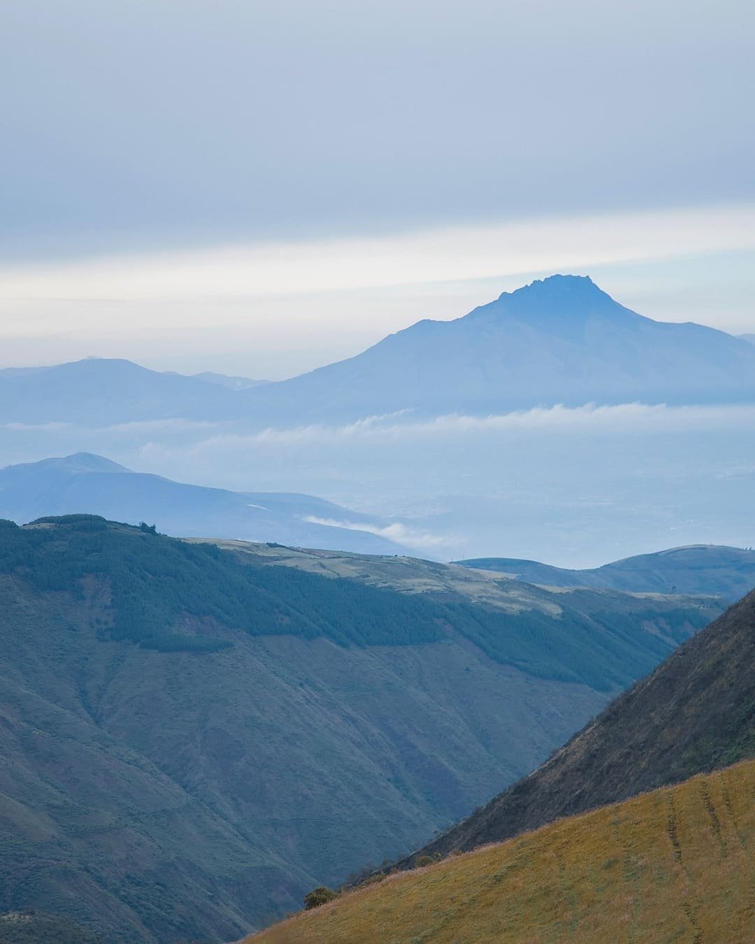 carchi-7890573_1920-ig-portrait-1080-1350 (1)