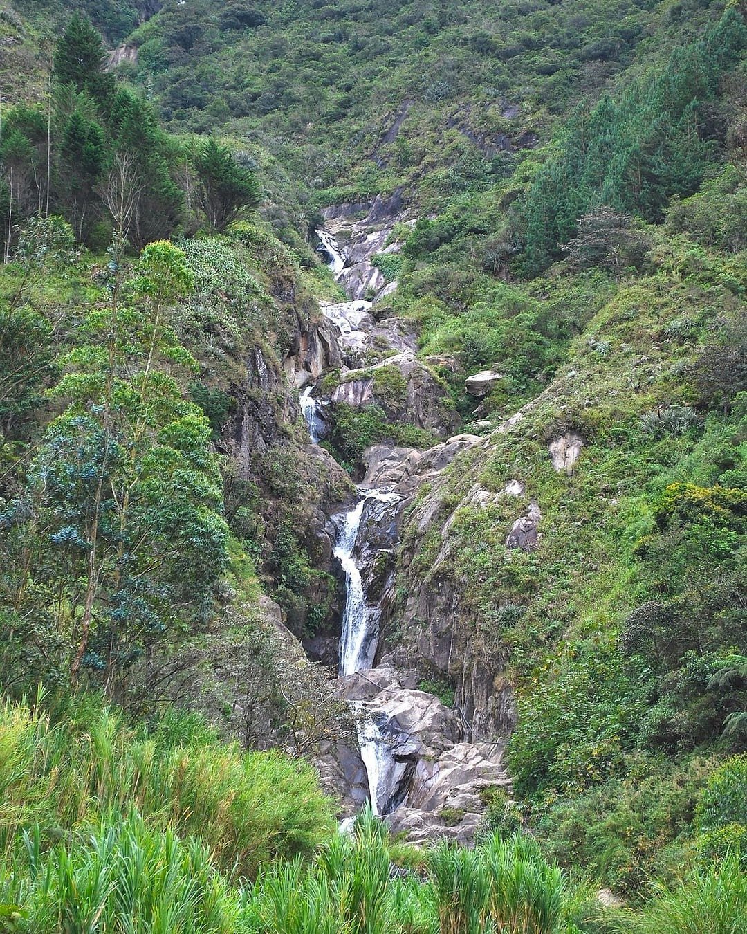 ecuador-82115_1920-ig-portrait-1080-1350 (1)